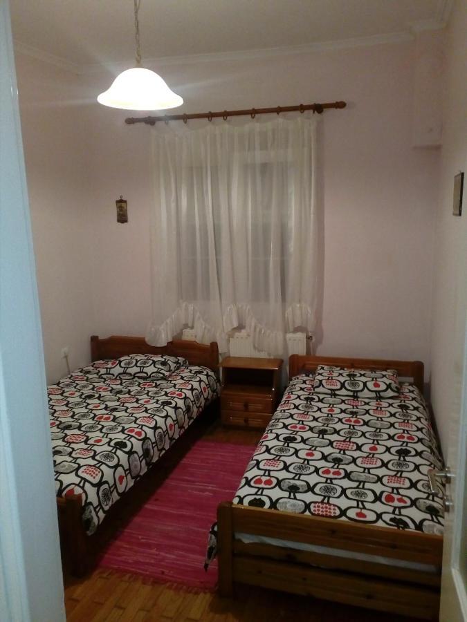 Big Apartment Near Olympus Mountain Litóhoro Kültér fotó